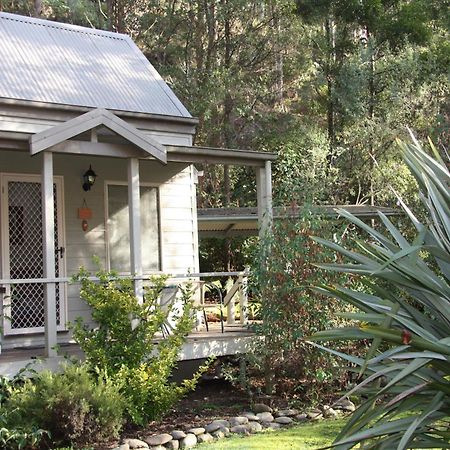 Shady Brook Cottages Harrietville Εξωτερικό φωτογραφία