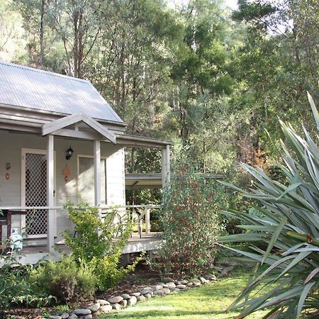 Shady Brook Cottages Harrietville Εξωτερικό φωτογραφία