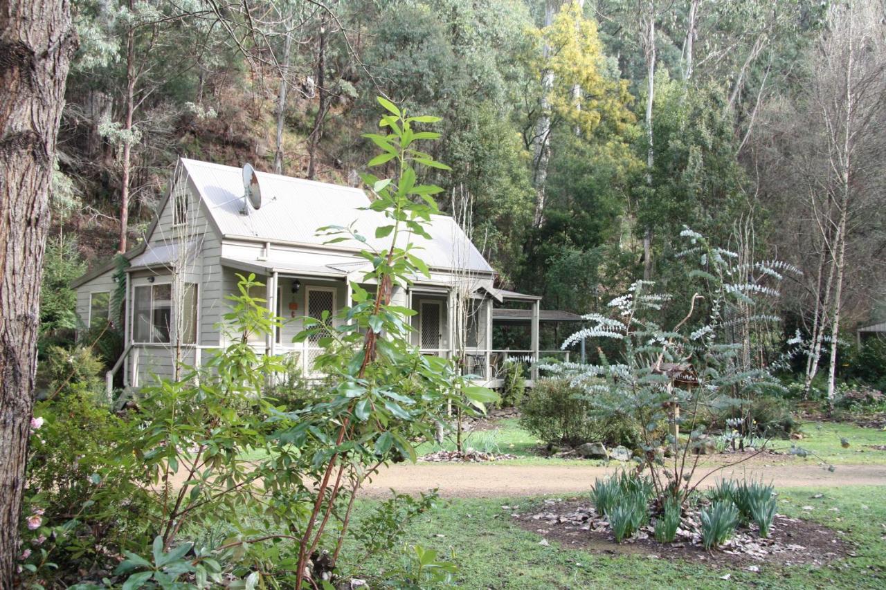 Shady Brook Cottages Harrietville Εξωτερικό φωτογραφία