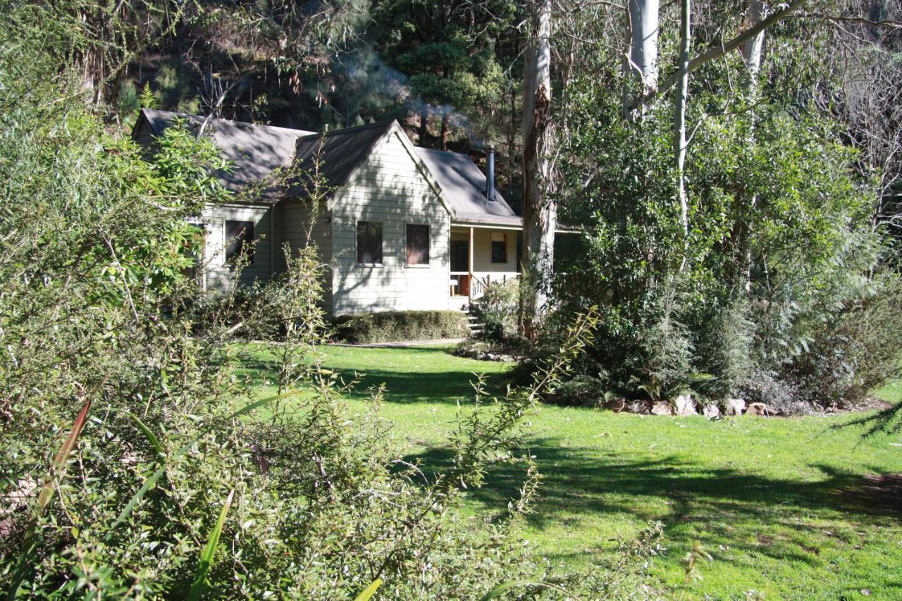 Shady Brook Cottages Harrietville Εξωτερικό φωτογραφία
