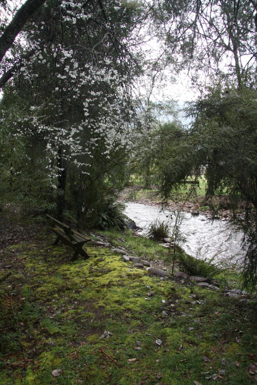 Shady Brook Cottages Harrietville Εξωτερικό φωτογραφία