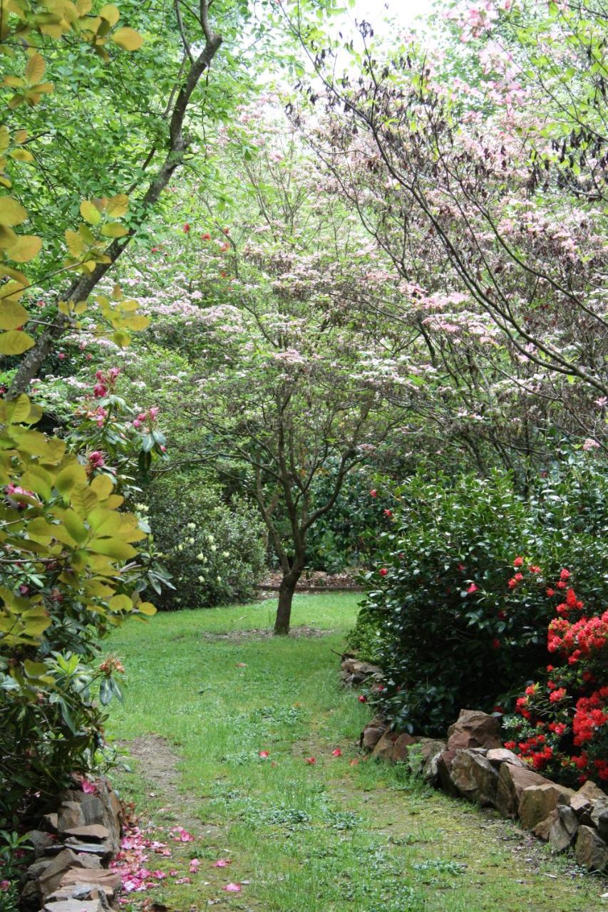 Shady Brook Cottages Harrietville Εξωτερικό φωτογραφία