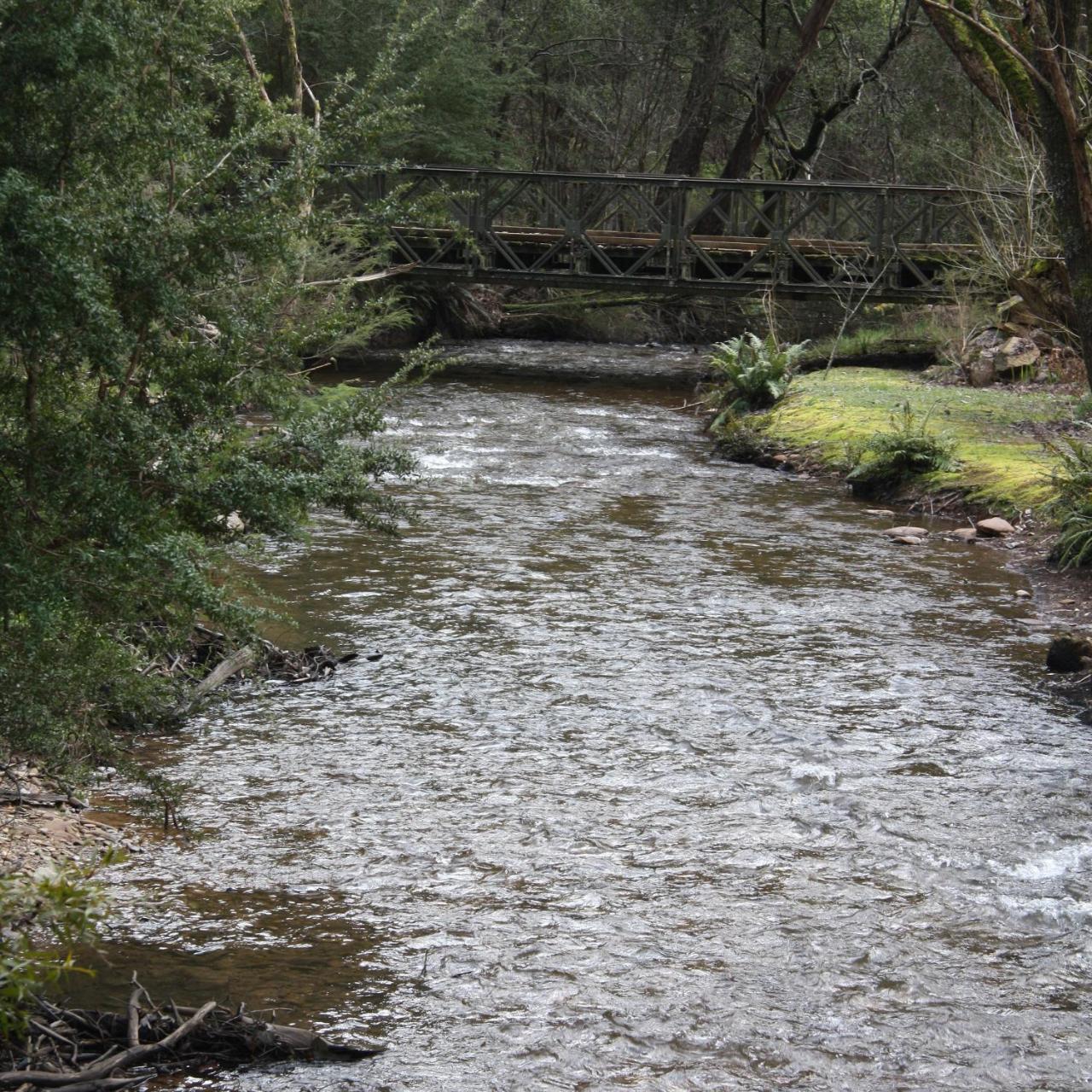 Shady Brook Cottages Harrietville Εξωτερικό φωτογραφία