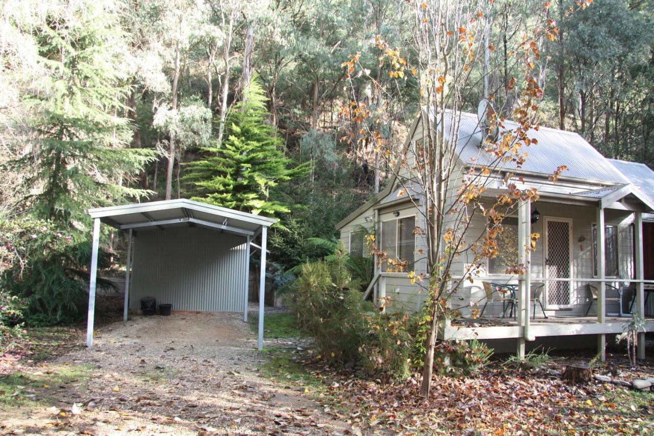 Shady Brook Cottages Harrietville Εξωτερικό φωτογραφία