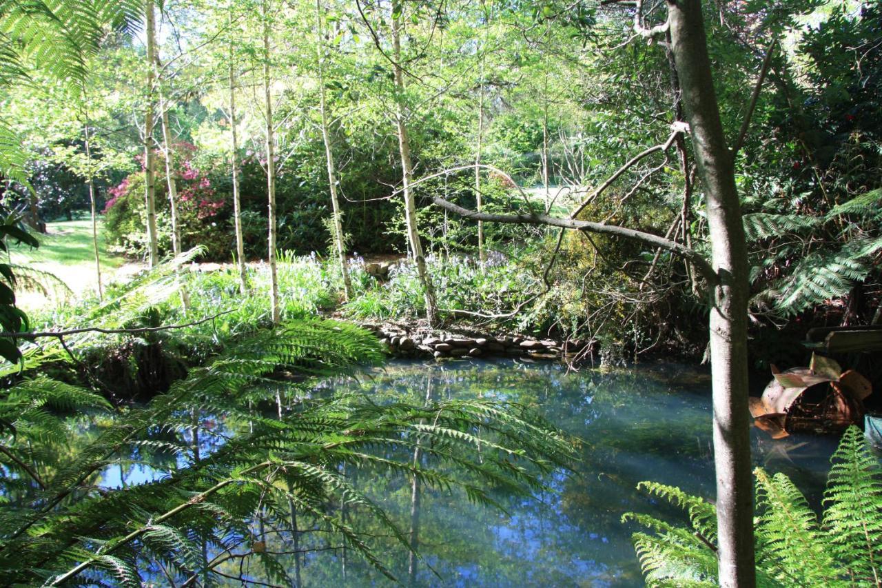 Shady Brook Cottages Harrietville Εξωτερικό φωτογραφία