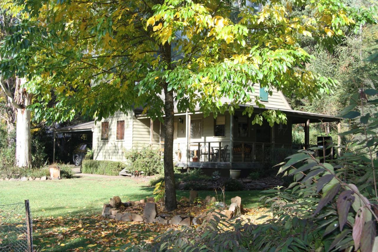 Shady Brook Cottages Harrietville Εξωτερικό φωτογραφία
