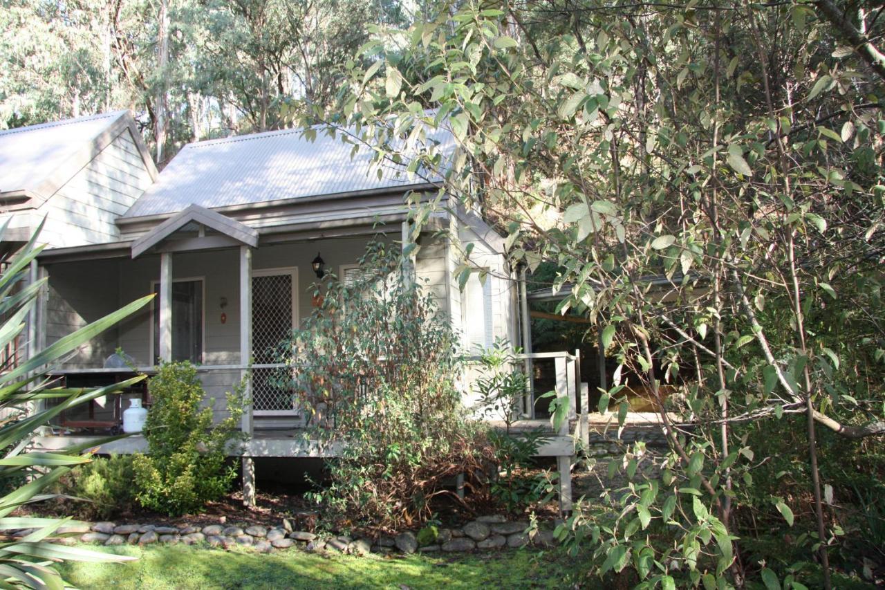 Shady Brook Cottages Harrietville Εξωτερικό φωτογραφία