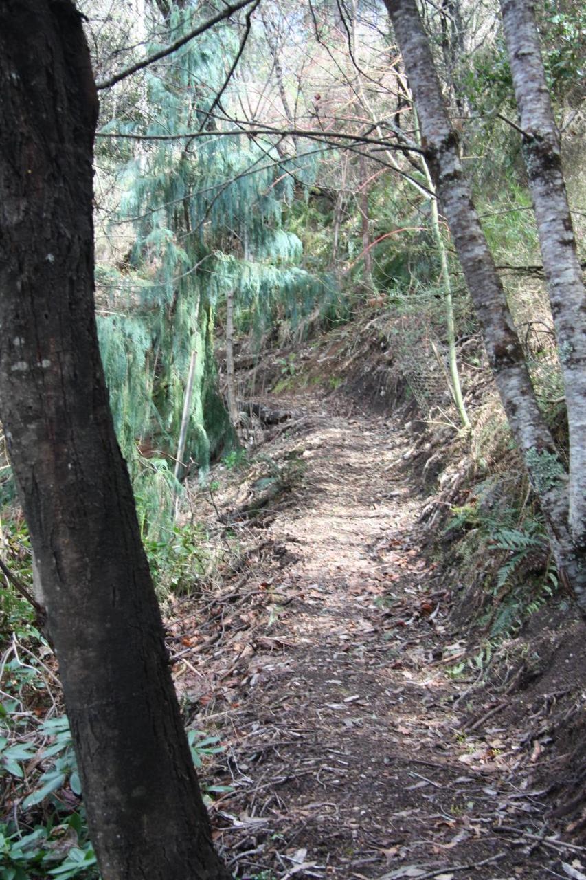 Shady Brook Cottages Harrietville Εξωτερικό φωτογραφία
