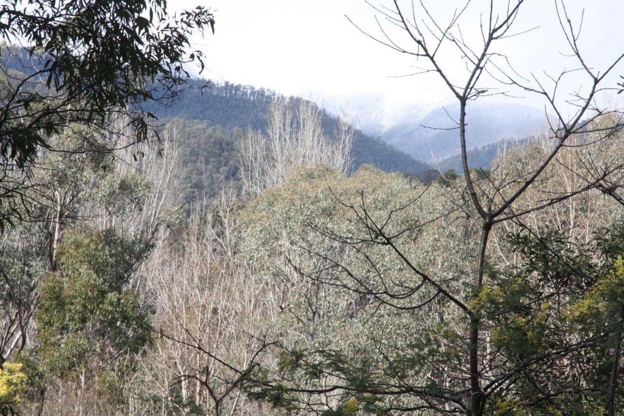Shady Brook Cottages Harrietville Εξωτερικό φωτογραφία