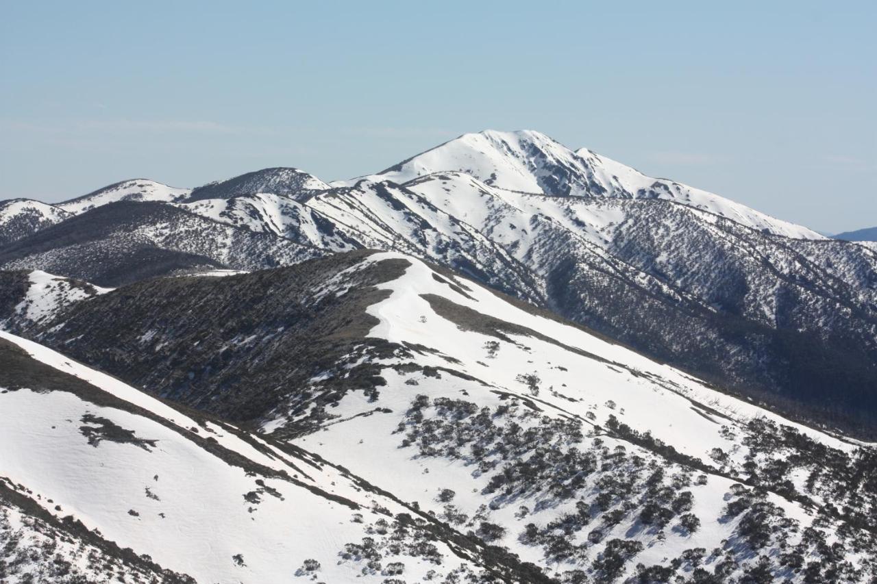Shady Brook Cottages Harrietville Εξωτερικό φωτογραφία