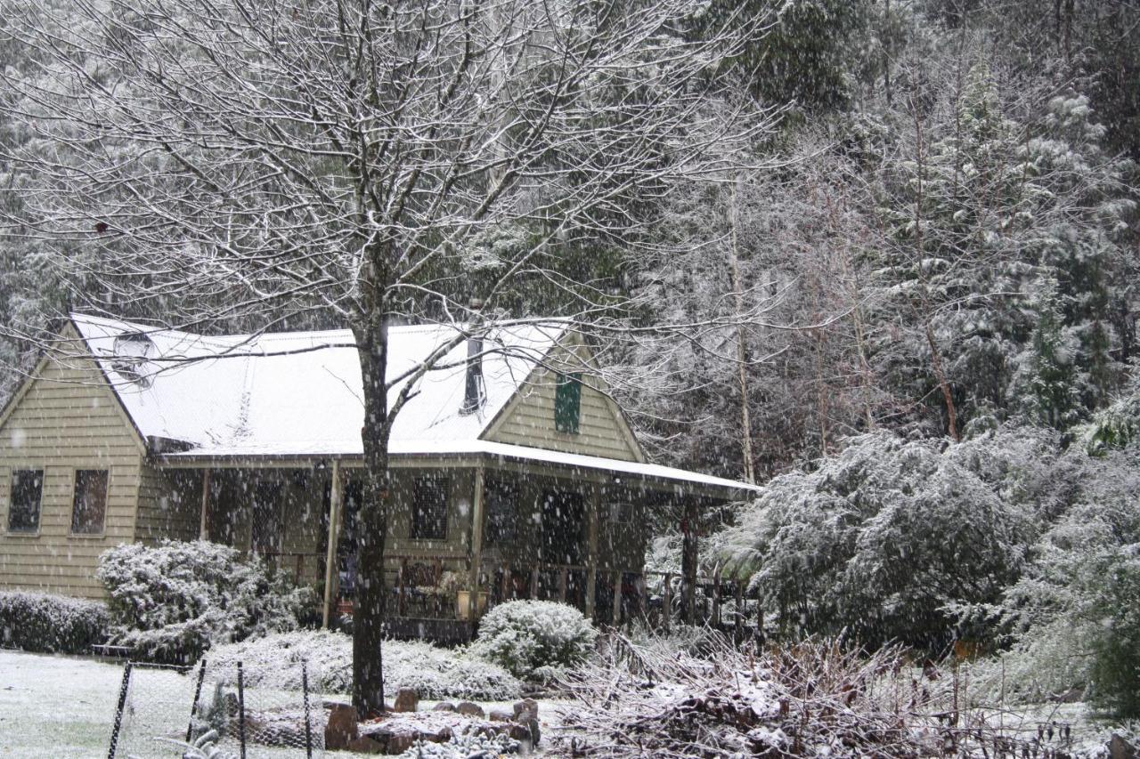 Shady Brook Cottages Harrietville Εξωτερικό φωτογραφία