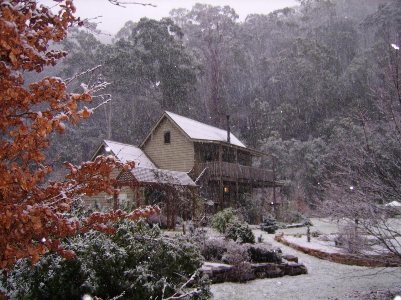 Shady Brook Cottages Harrietville Εξωτερικό φωτογραφία