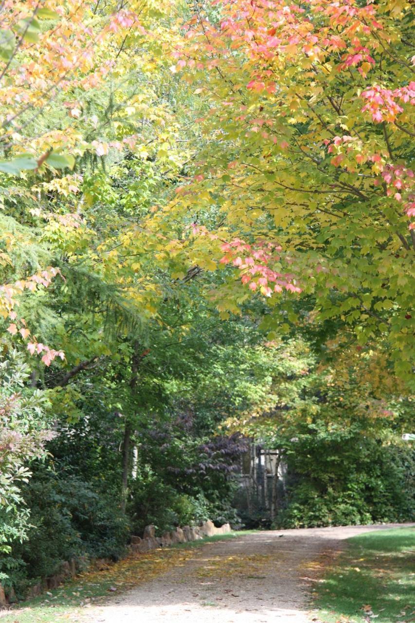 Shady Brook Cottages Harrietville Εξωτερικό φωτογραφία