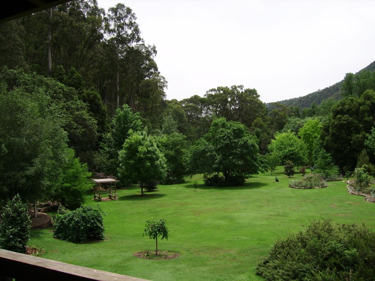 Shady Brook Cottages Harrietville Εξωτερικό φωτογραφία