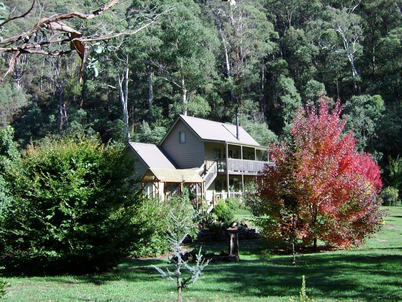 Shady Brook Cottages Harrietville Εξωτερικό φωτογραφία