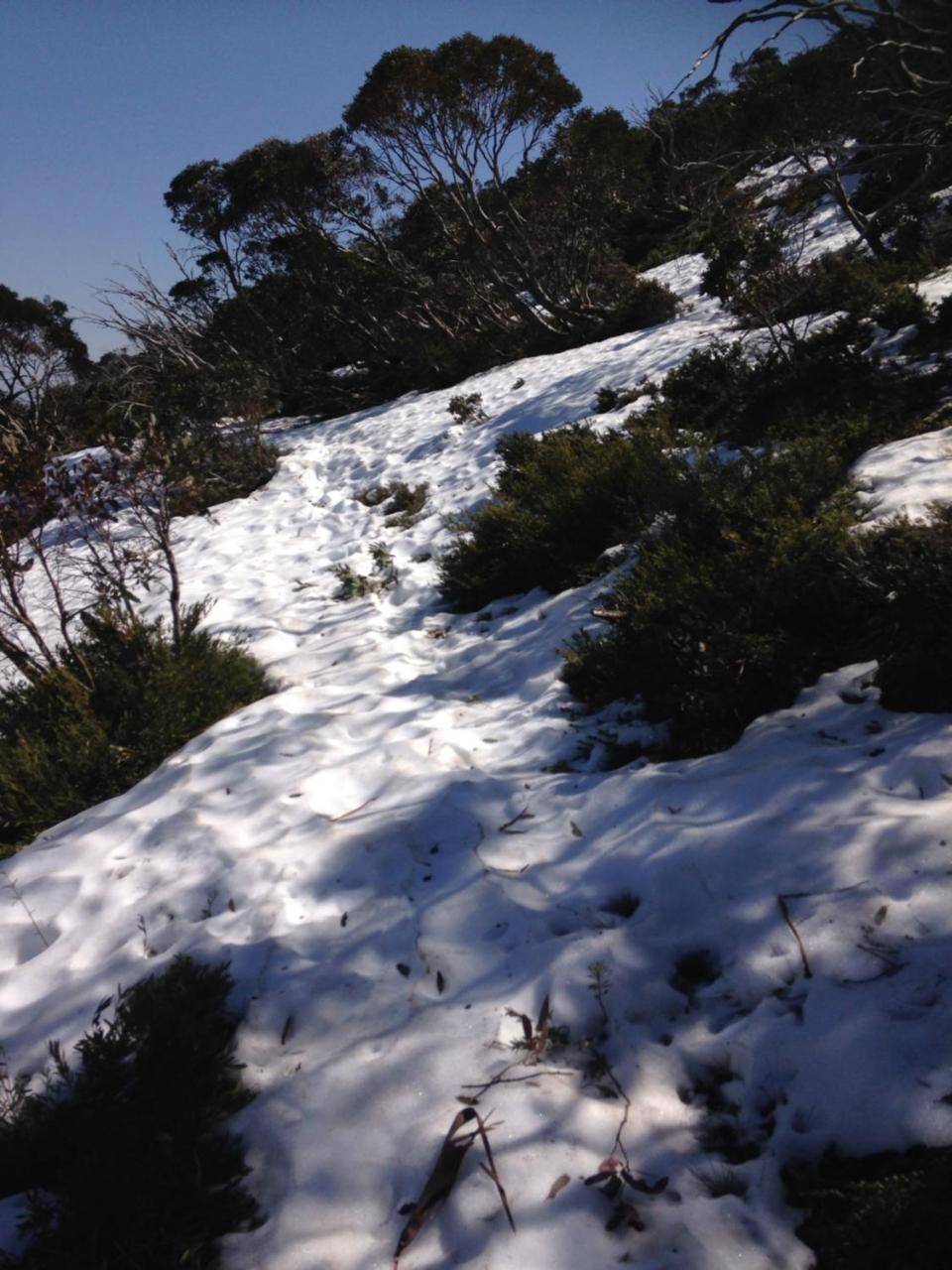 Shady Brook Cottages Harrietville Εξωτερικό φωτογραφία