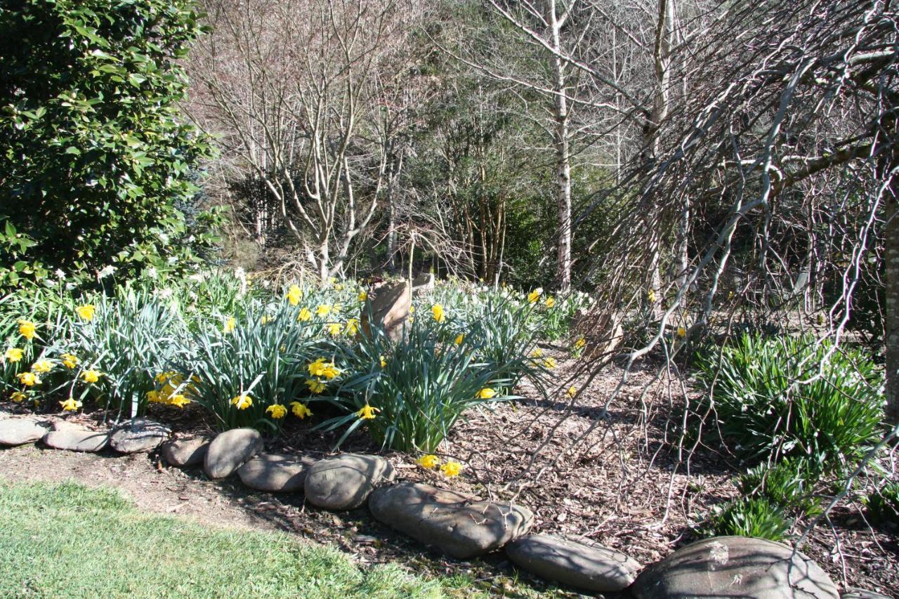 Shady Brook Cottages Harrietville Εξωτερικό φωτογραφία