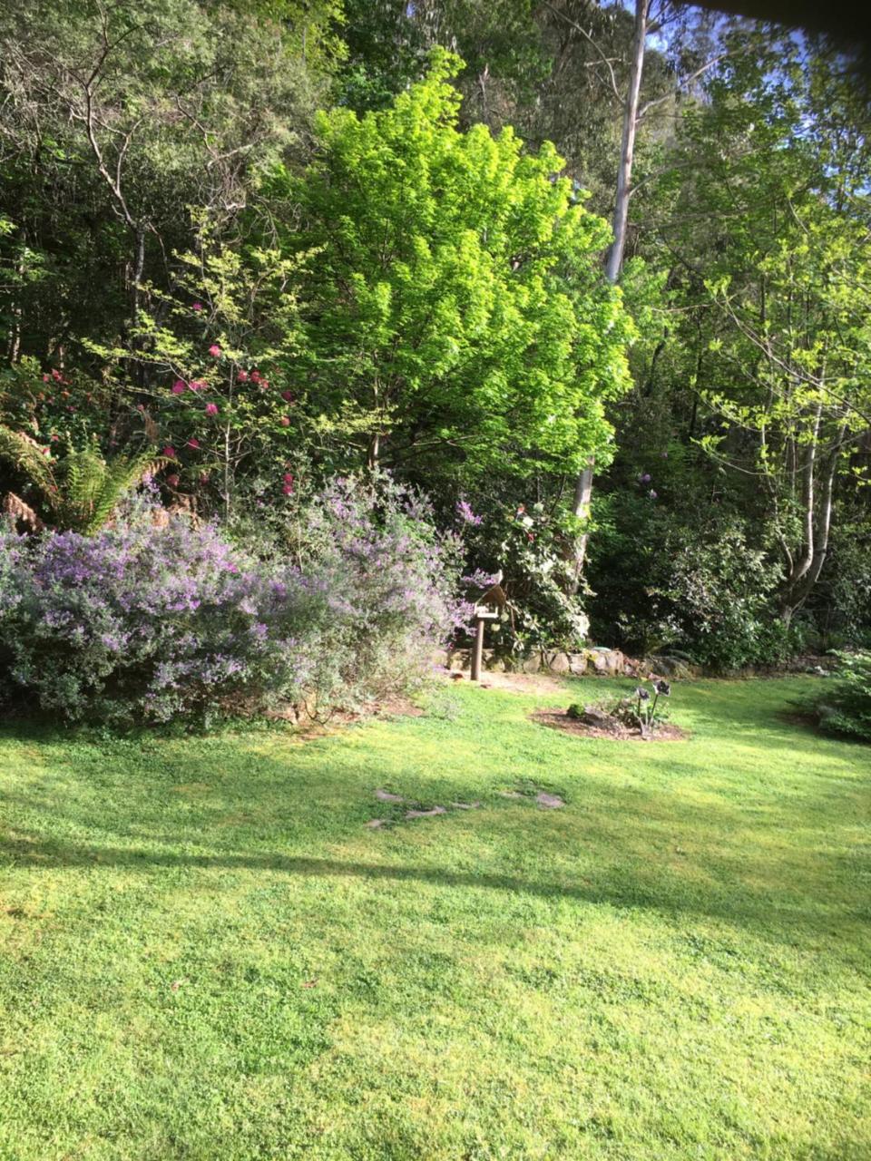 Shady Brook Cottages Harrietville Εξωτερικό φωτογραφία